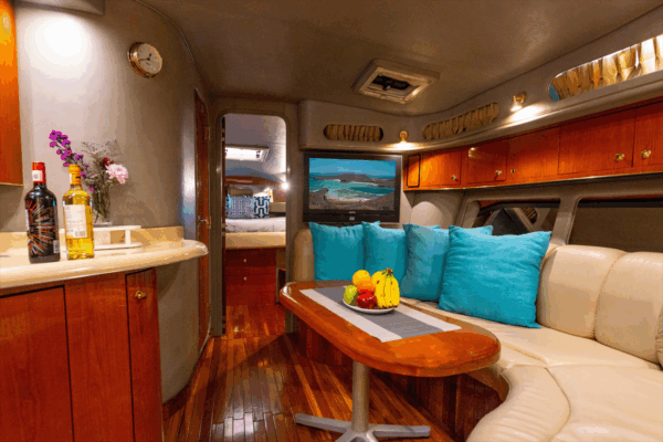 Sea Ray 400 DA (42ft) - Imagen 2