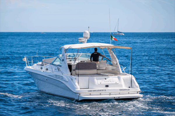 Sea Ray 400 DA (42ft) - Imagen 4